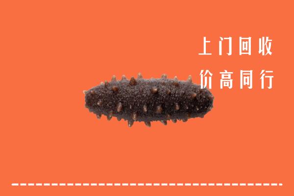 蒲城县回收海参